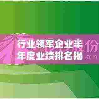 行业领军企业半年度业绩排名揭晓,行业格局与公司实力大揭秘!