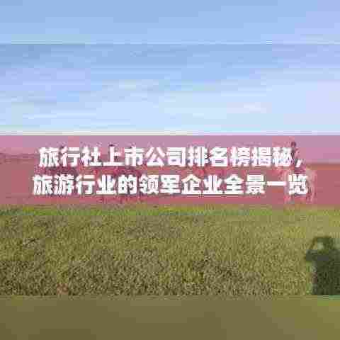 旅行社上市公司排名榜揭秘,旅游行业的领军企业全景一览