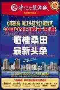 临桂桑田最新头条新闻速递