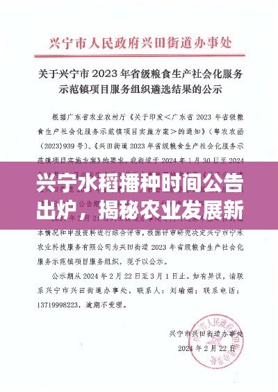 兴宁水稻播种时间公告出炉，揭秘农业发展新动向