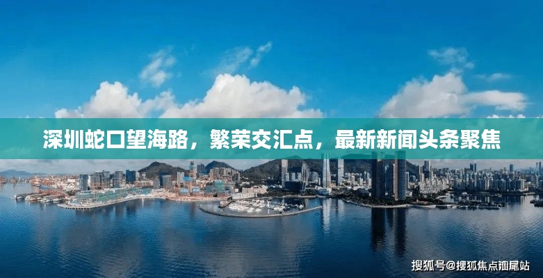 深圳蛇口望海路，繁荣交汇点，最新新闻头条聚焦