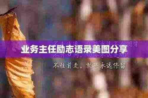 鸢飞鱼跃 第3页