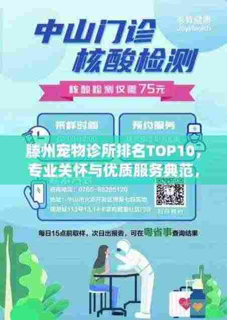 滕州宠物诊所排名TOP10,专业关怀与优质服务典范,宠物健康守护之选