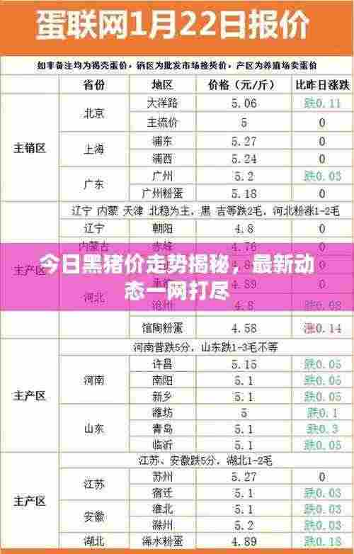 今日黑猪价走势揭秘,最新动态一网打尽