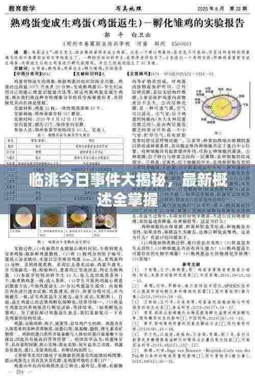 临洮今日事件大揭秘,最新概述全掌握