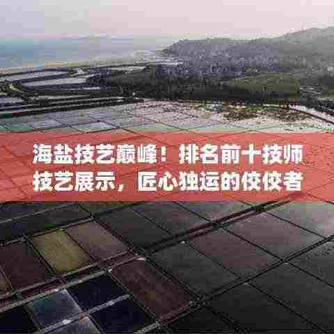 海盐技艺巅峰！排名前十技师技艺展示，匠心独运的佼佼者