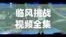 临风挑战视频全集,在线观看火热,精彩不断!