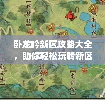 卧龙吟新区攻略大全,助你轻松玩转新区!