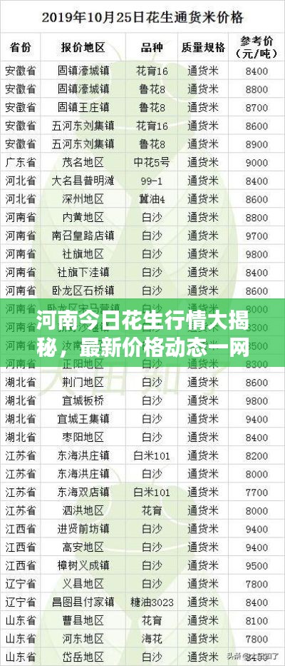 河南今日花生行情大揭秘，最新价格动态一网打尽！