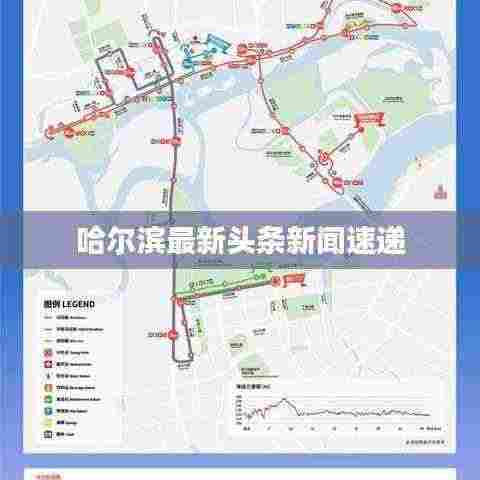 哈尔滨最新头条新闻速递