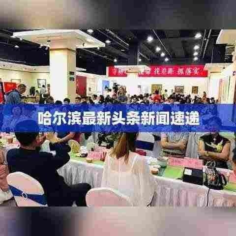 哈尔滨最新头条新闻速递