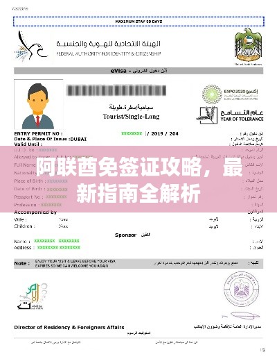 阿联酋免签证攻略，最新指南全解析