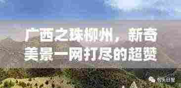 广西之珠柳州,新奇美景一网打尽的超赞旅游攻略!