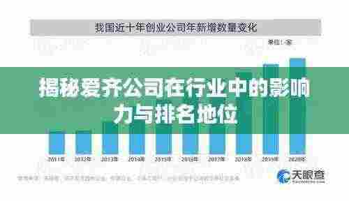 揭秘爱齐公司在行业中的影响力与排名地位