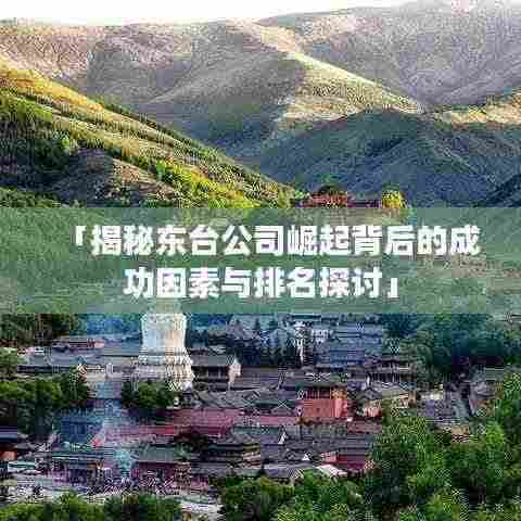 「揭秘东台公司崛起背后的成功因素与排名探讨」