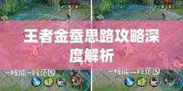 王者金蚕思路攻略深度解析