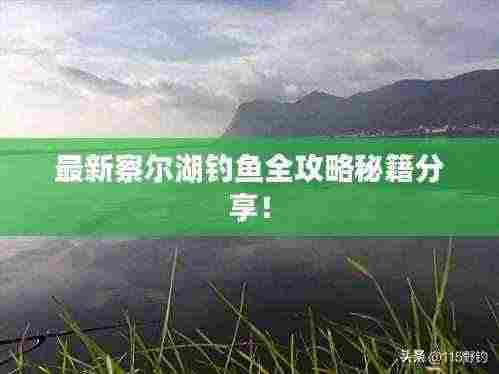 最新察尔湖钓鱼全攻略秘籍分享!