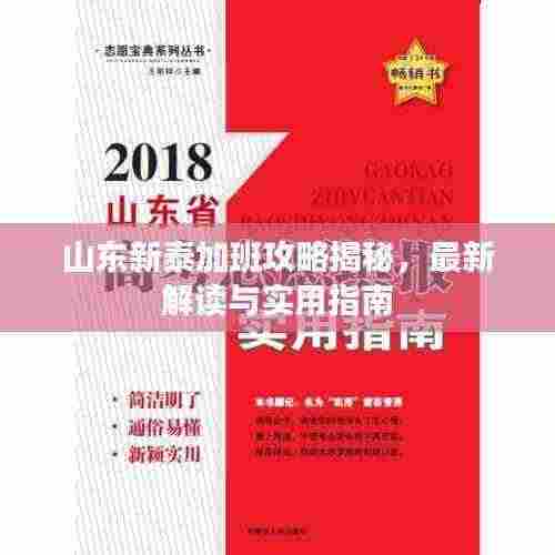 山东新泰加班攻略揭秘,最新解读与实用指南