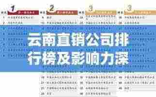 云南直销公司排行榜及影响力深度解析