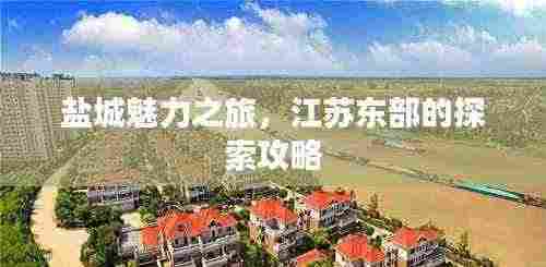 盐城魅力之旅，江苏东部的探索攻略