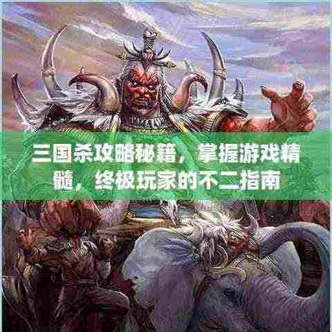 三国杀攻略秘籍,掌握游戏精髓,终极玩家的不二指南