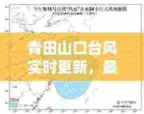青田山口台风实时更新，最新动态与预警通知