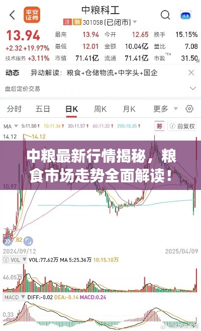 中粮最新行情揭秘，粮食市场走势全面解读！