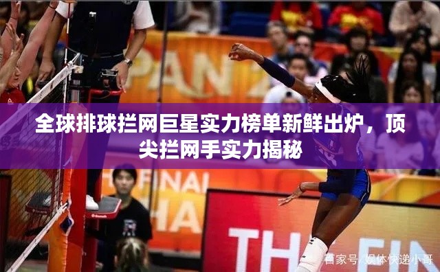 全球排球拦网巨星实力榜单新鲜出炉,顶尖拦网手实力揭秘