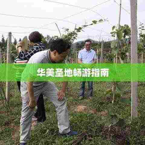 华美圣地畅游指南