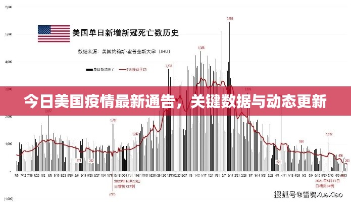 今日美国疫情最新通告,关键数据与动态更新