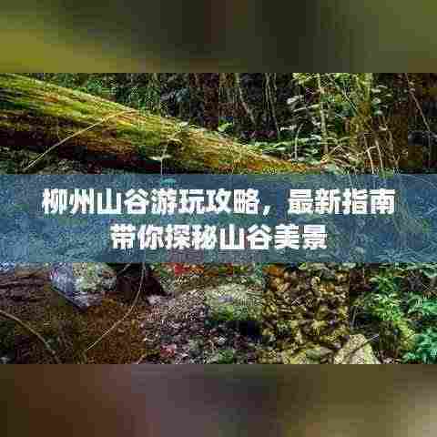 柳州山谷游玩攻略,最新指南带你探秘山谷美景