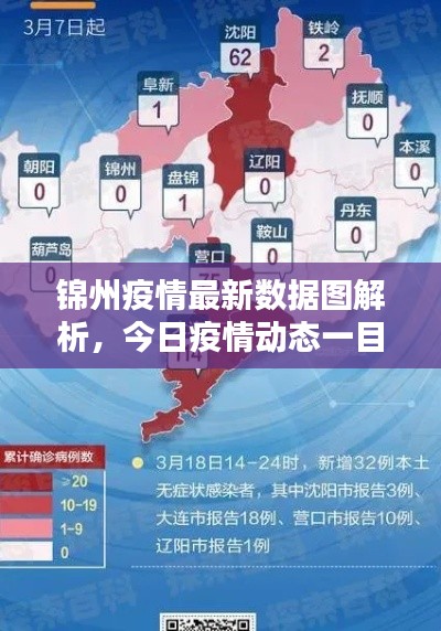 锦州疫情最新数据图解析,今日疫情动态一目了然
