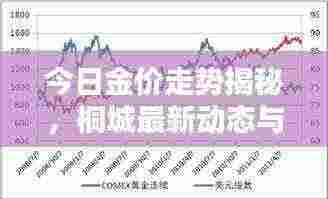 今日金价走势揭秘,桐城最新动态与影响因素分析