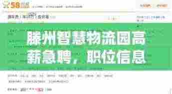 滕州智慧物流园高薪急聘,职位信息大揭秘!