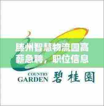 滕州智慧物流园高薪急聘,职位信息大揭秘!