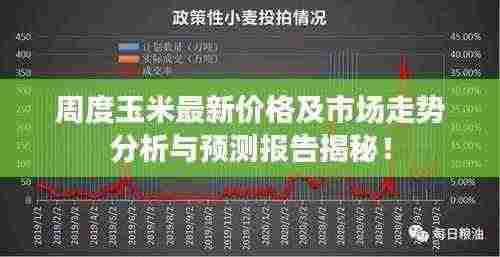 周度玉米最新价格及市场走势分析与预测报告揭秘！