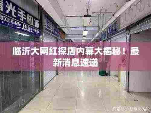 临沂大网红探店内幕大揭秘!最新消息速递