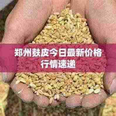 郑州麸皮今日最新价格行情速递