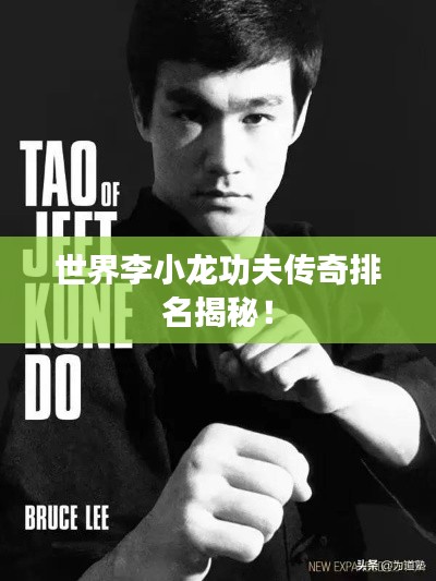 世界李小龙功夫传奇排名揭秘!