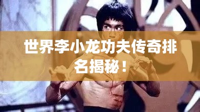 世界李小龙功夫传奇排名揭秘!