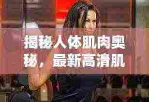 揭秘人体肌肉奥秘，最新高清肌肉分布图全解析