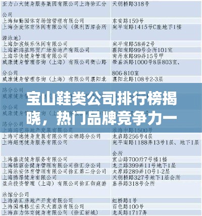 宝山鞋类公司排行榜揭晓,热门品牌竞争力一览