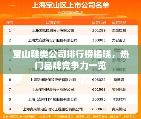 宝山鞋类公司排行榜揭晓,热门品牌竞争力一览