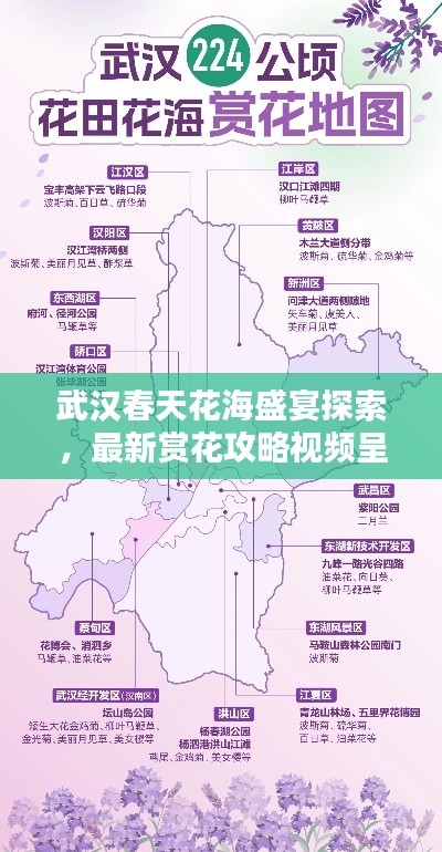 武汉春天花海盛宴探索，最新赏花攻略视频呈现！
