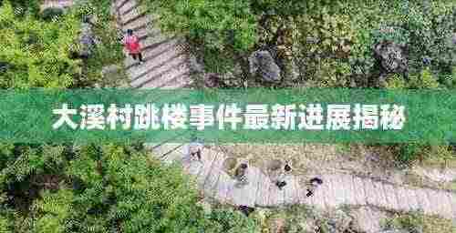 大溪村跳楼事件最新进展揭秘