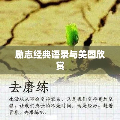 励志经典语录与美图欣赏