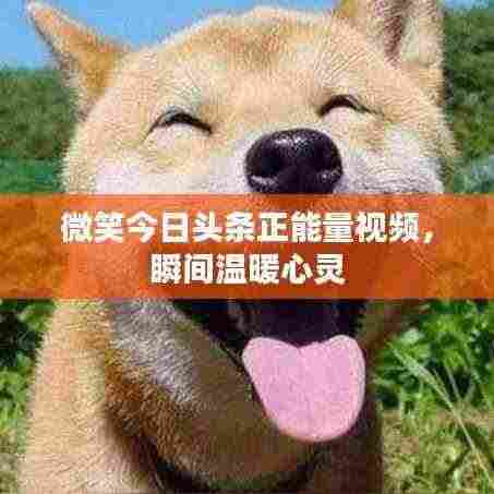 微笑今日头条正能量视频,瞬间温暖心灵