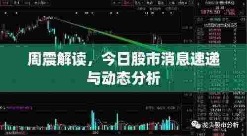周震解读,今日股市消息速递与动态分析