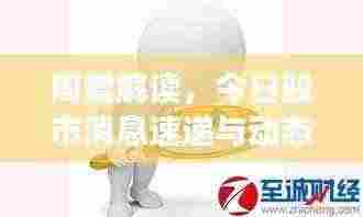 周震解读,今日股市消息速递与动态分析