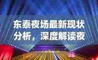 东泰夜场最新现状分析,深度解读夜场娱乐产业繁荣背后的真相